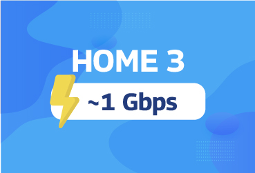 Home 3 (Mesh)